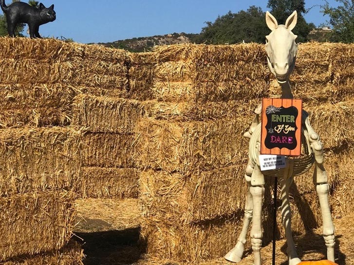 Childrens Natures Retreats