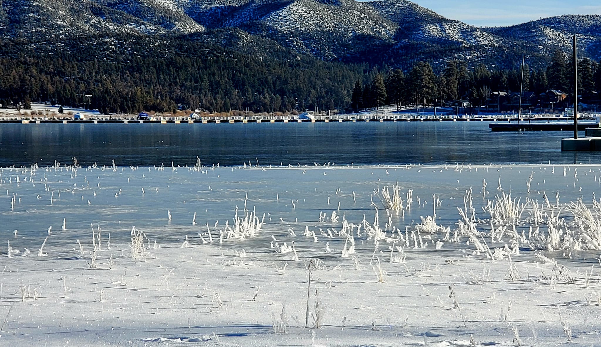 Miranda Culme-Seymour on Facebook