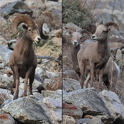 David E. (November 2023 )