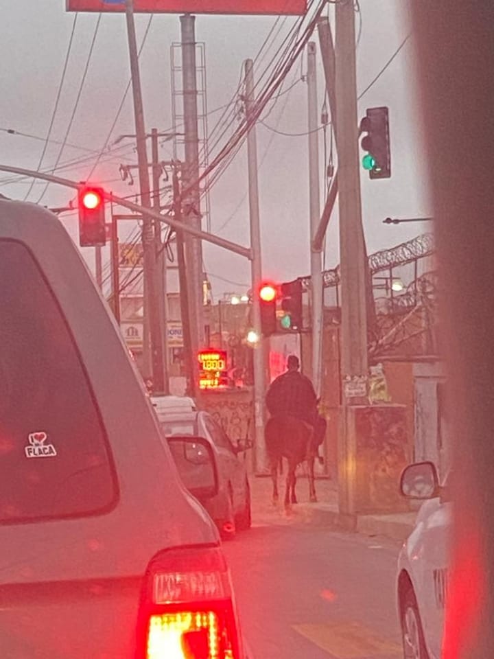 Guadalupe Cota Martinez