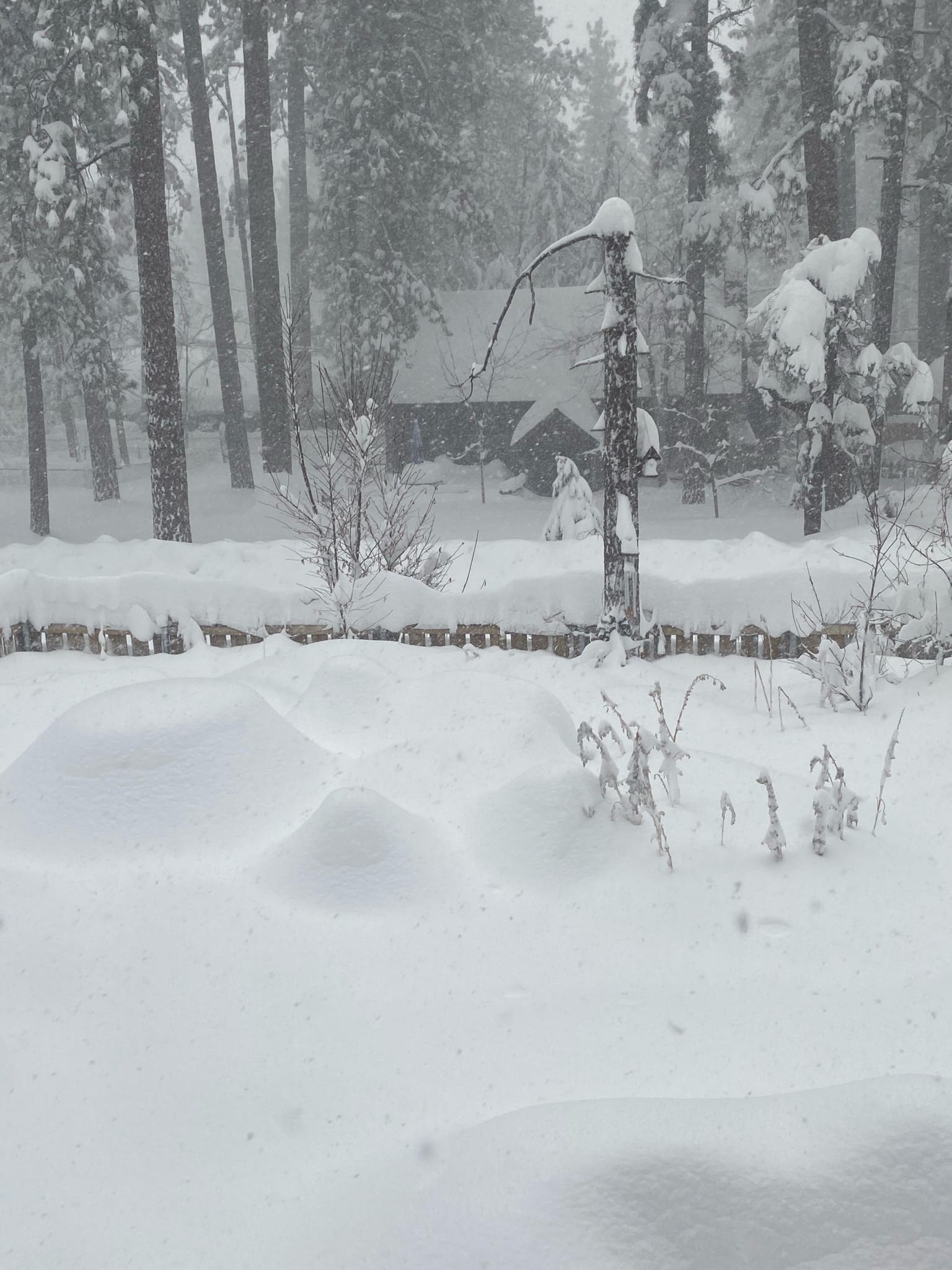 Jan Bushart Facebook