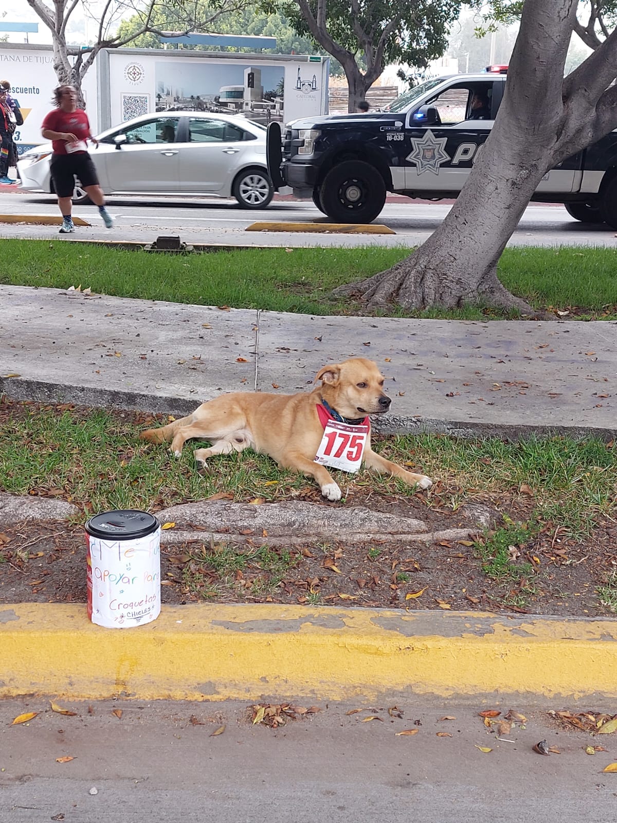 Foto por Flecha News Tj