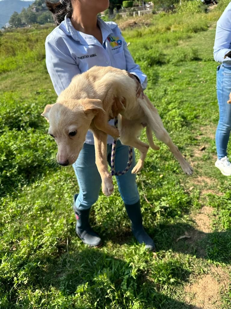 Ayuntamiento Valle de Bravo