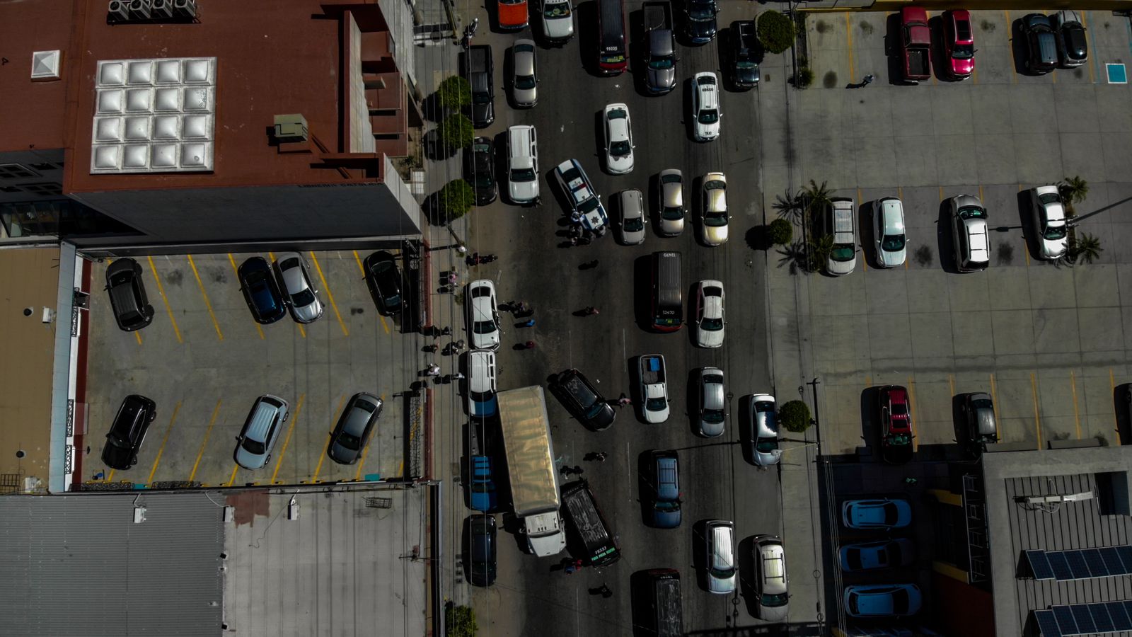 Cortesía: Border Zoom