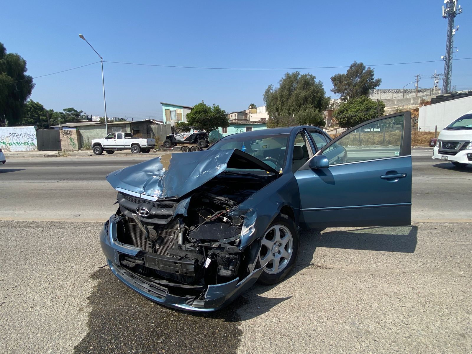 Courtesy: Selene Reynoso