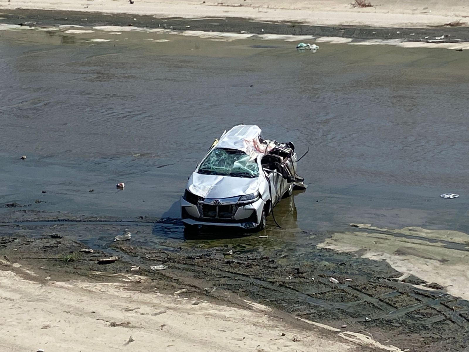 Courtesy: Selene Reynoso