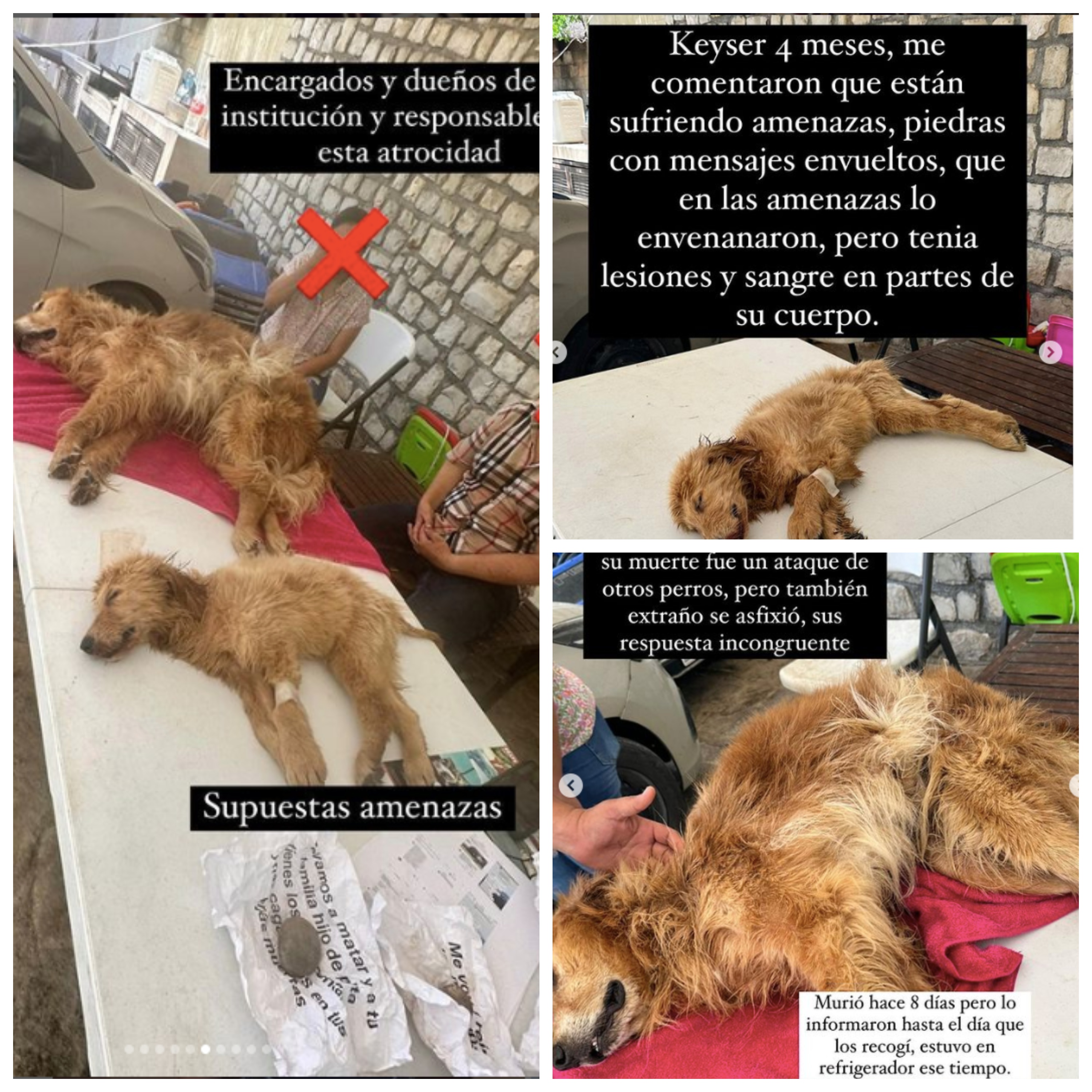 Instagram Mariana Castillo