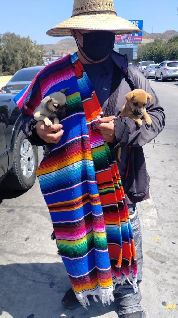 Cortesía: Ayuntamiento de Tijuana