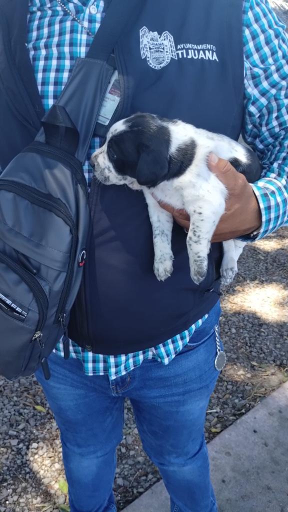 Cortesía: Ayuntamiento de Tijuana