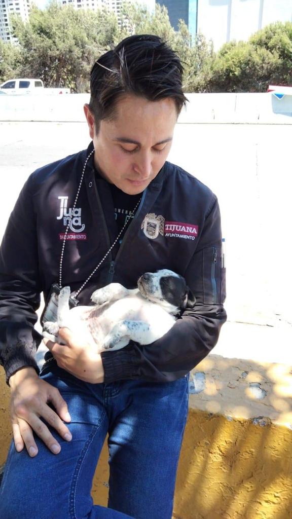 Cortesía: Ayuntamiento de Tijuana