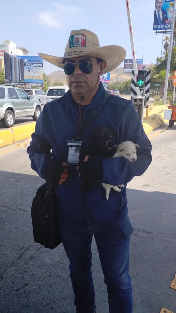 Cortesía: Ayuntamiento de Tijuana