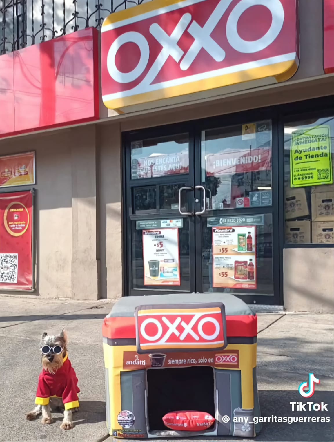 Cortesía: Garritas Guerreras