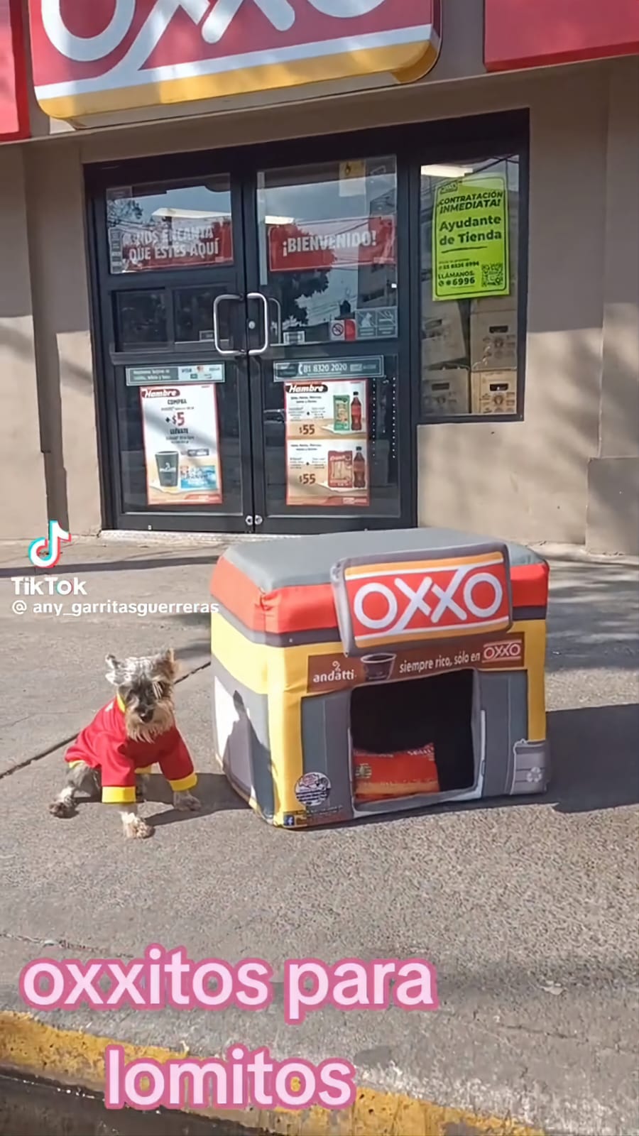 Cortesía: Garritas Guerreras