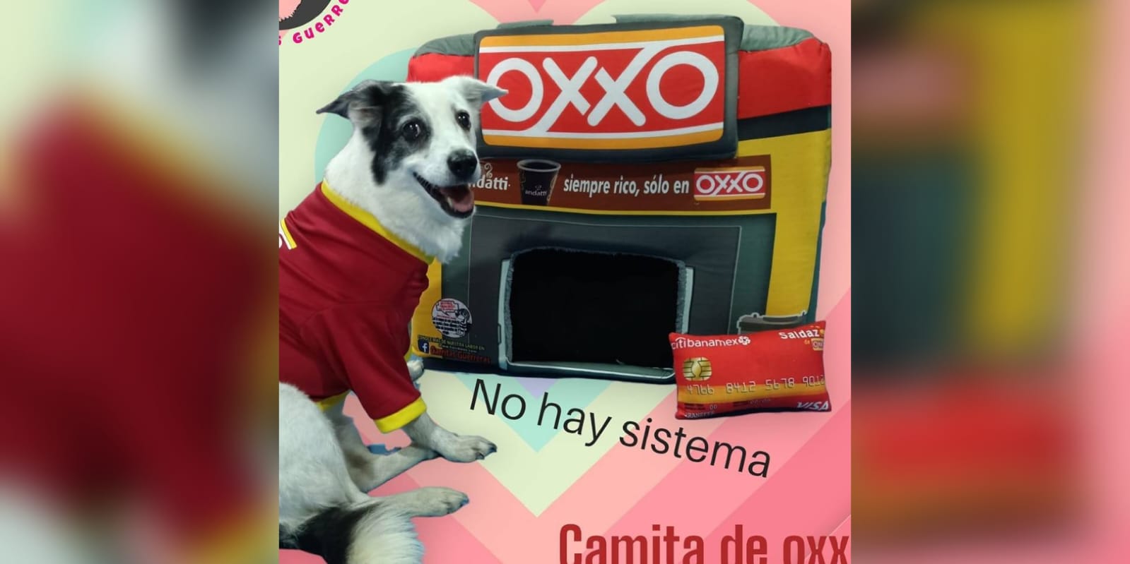 Cortesía: Garritas Guerreras