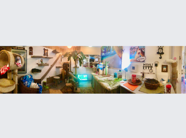 Cortesía: San Diego Cat bnb