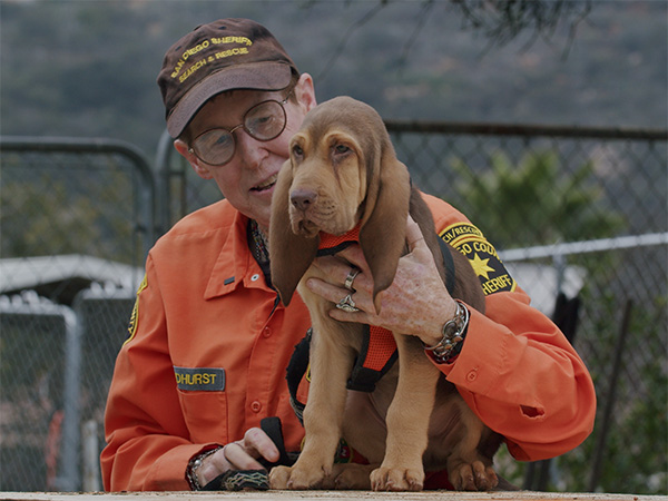 Albert cachorro cuando recién llegó al Departamento / Fotografía: San Diego County Sheriff’s Department