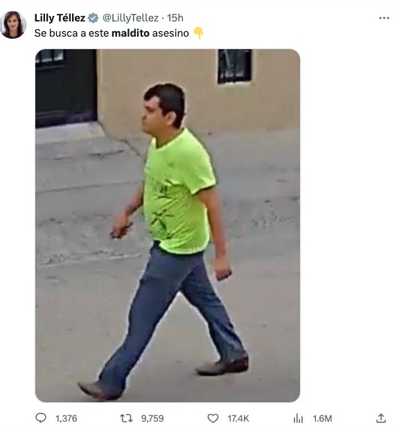 Lily Téllez Twitter