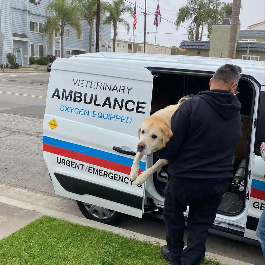 Albert Sánchez lleva a un perrito a su ambulancia. Cortesía sitio web: Veterinary Ambulance of Southern California.