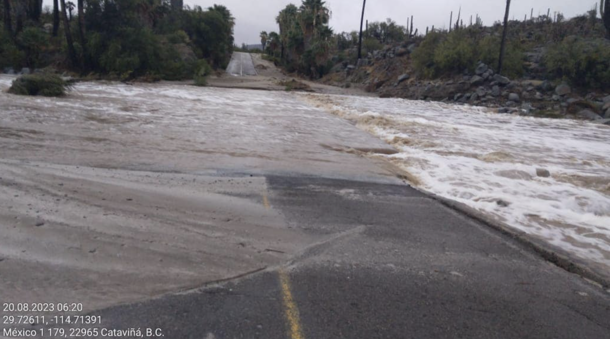 Fotografía por: Concejo Municipal Fundacional de San Quintín