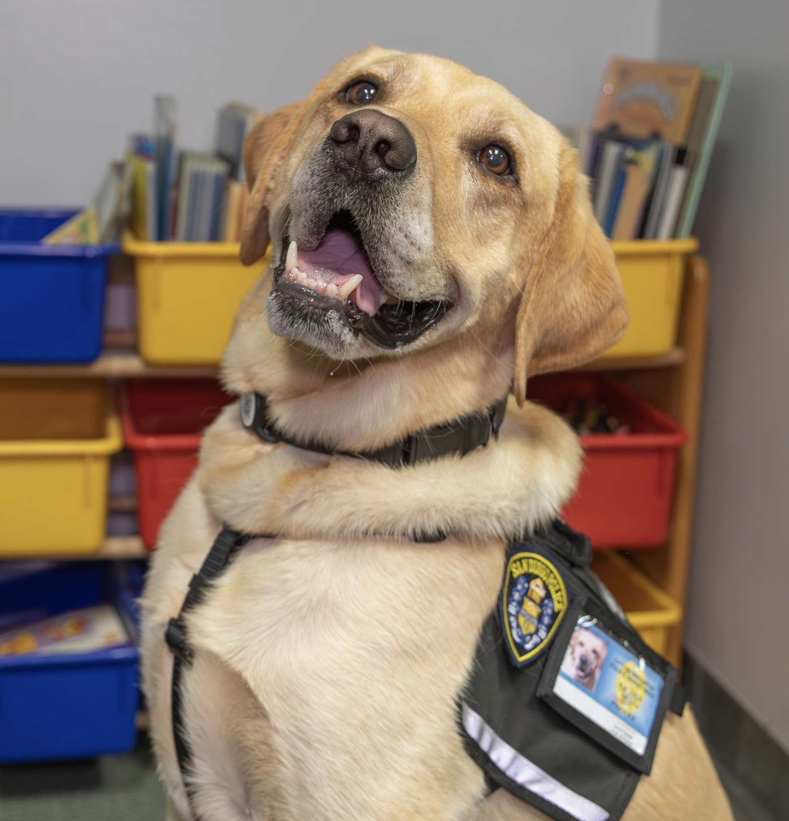 Fotografía por: Departamento de Policía de San Diego