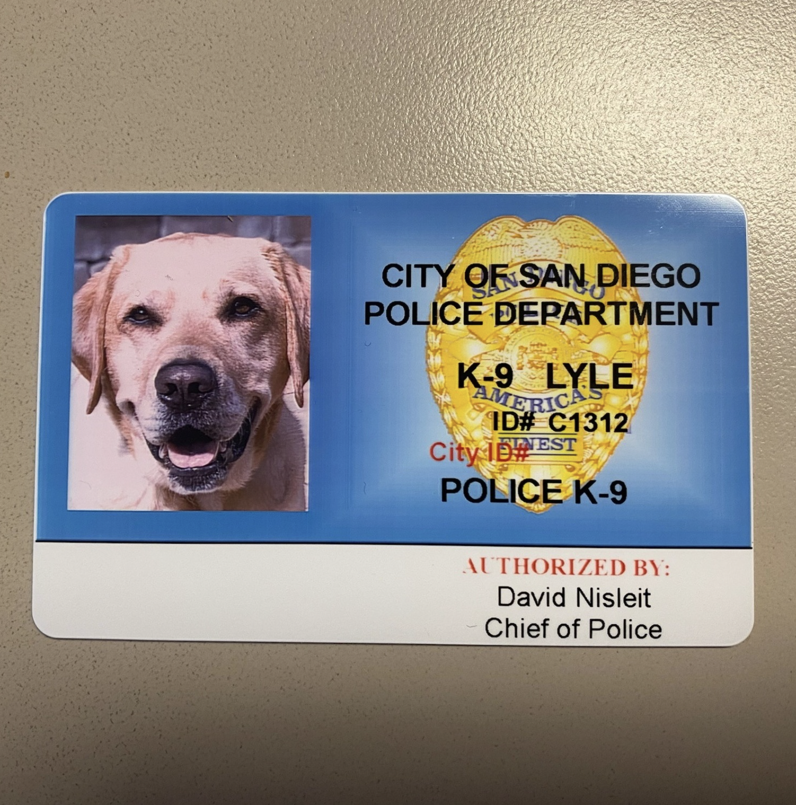 Fotografía por: Departamento de Policía de San Diego