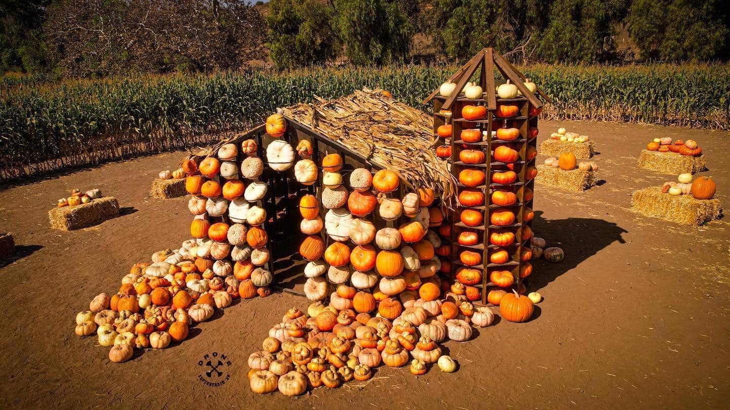 Faceboo La Ruta del Maíz