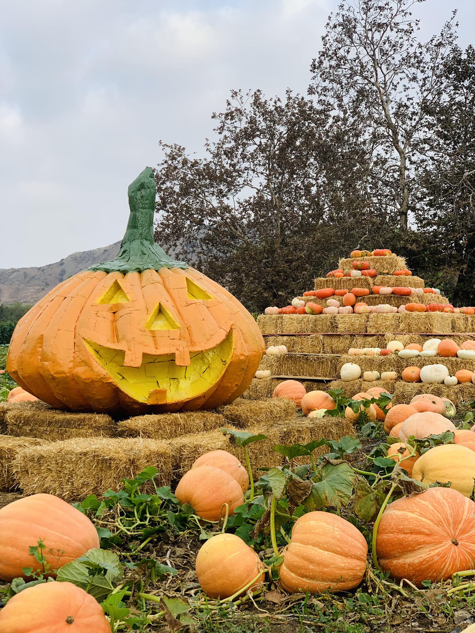 Faceboo La Ruta del Maíz