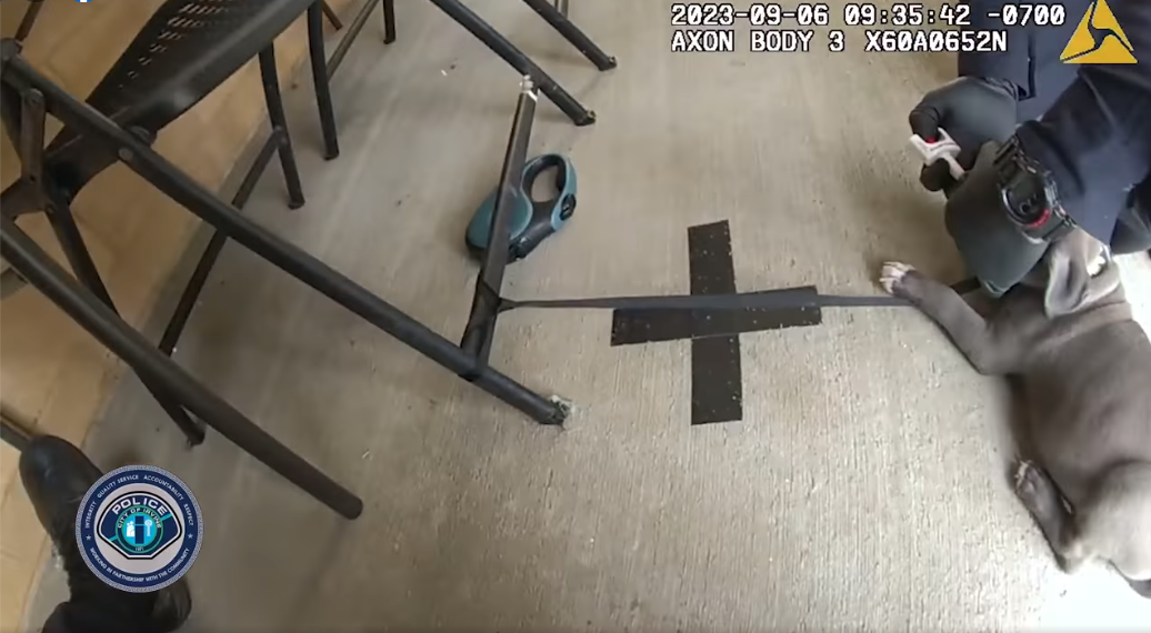 Irvine Police Department