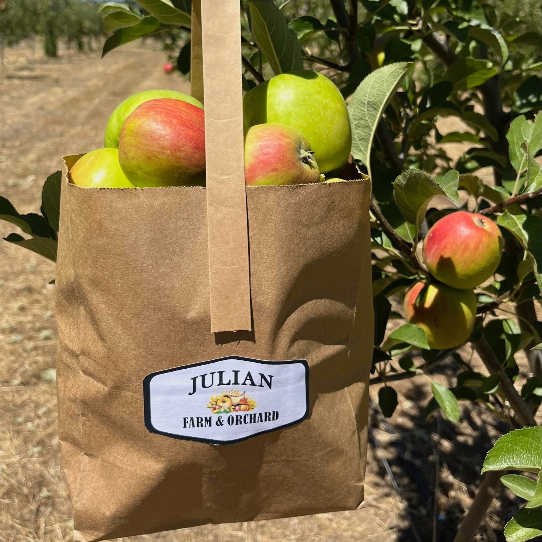 julianfarmandorchard