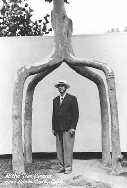 Erlandson posando con 'El gigante de cuatro patas' (Foto: treehugger.com)