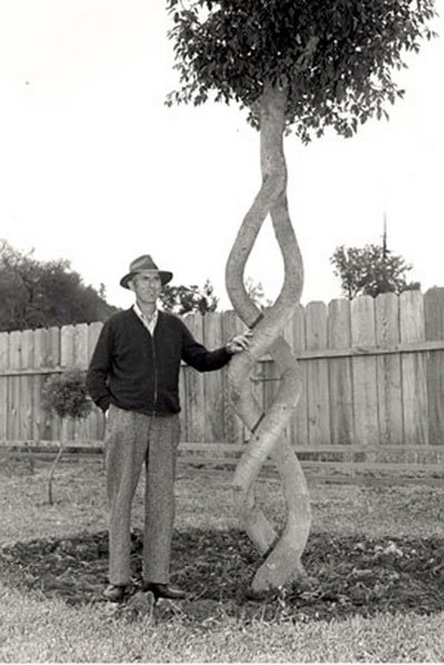 Foto: Gilroy Dispatch