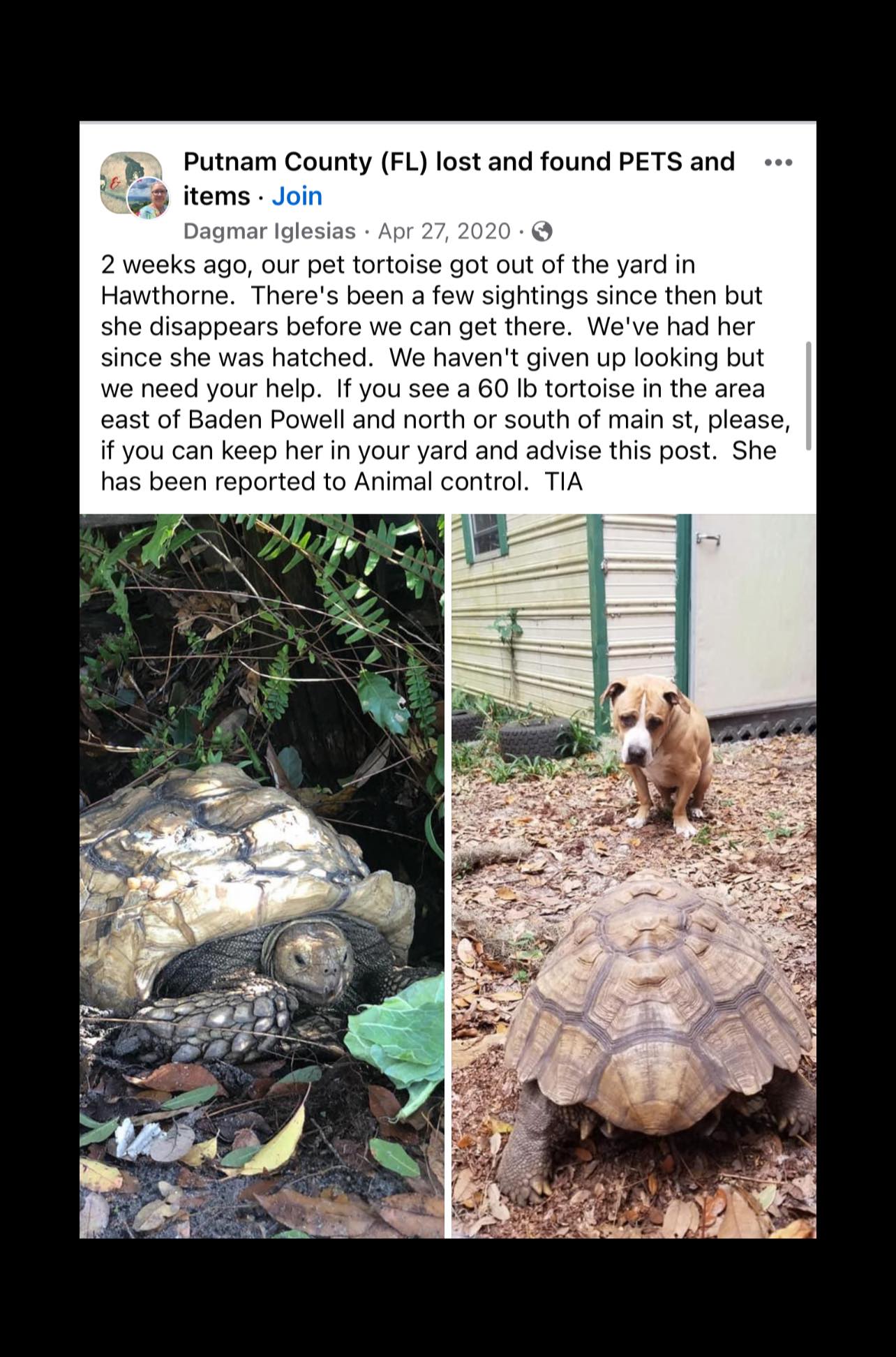 Florida’s Wildest Animal Rescue