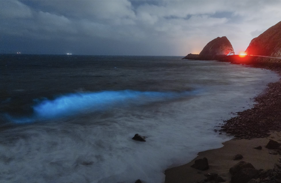 Fotografía por: Felix G Escobar