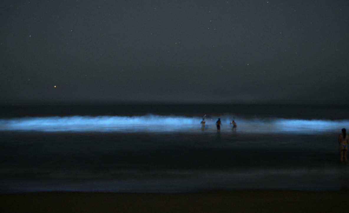 Fotografía por: Bambi Leigh Hale