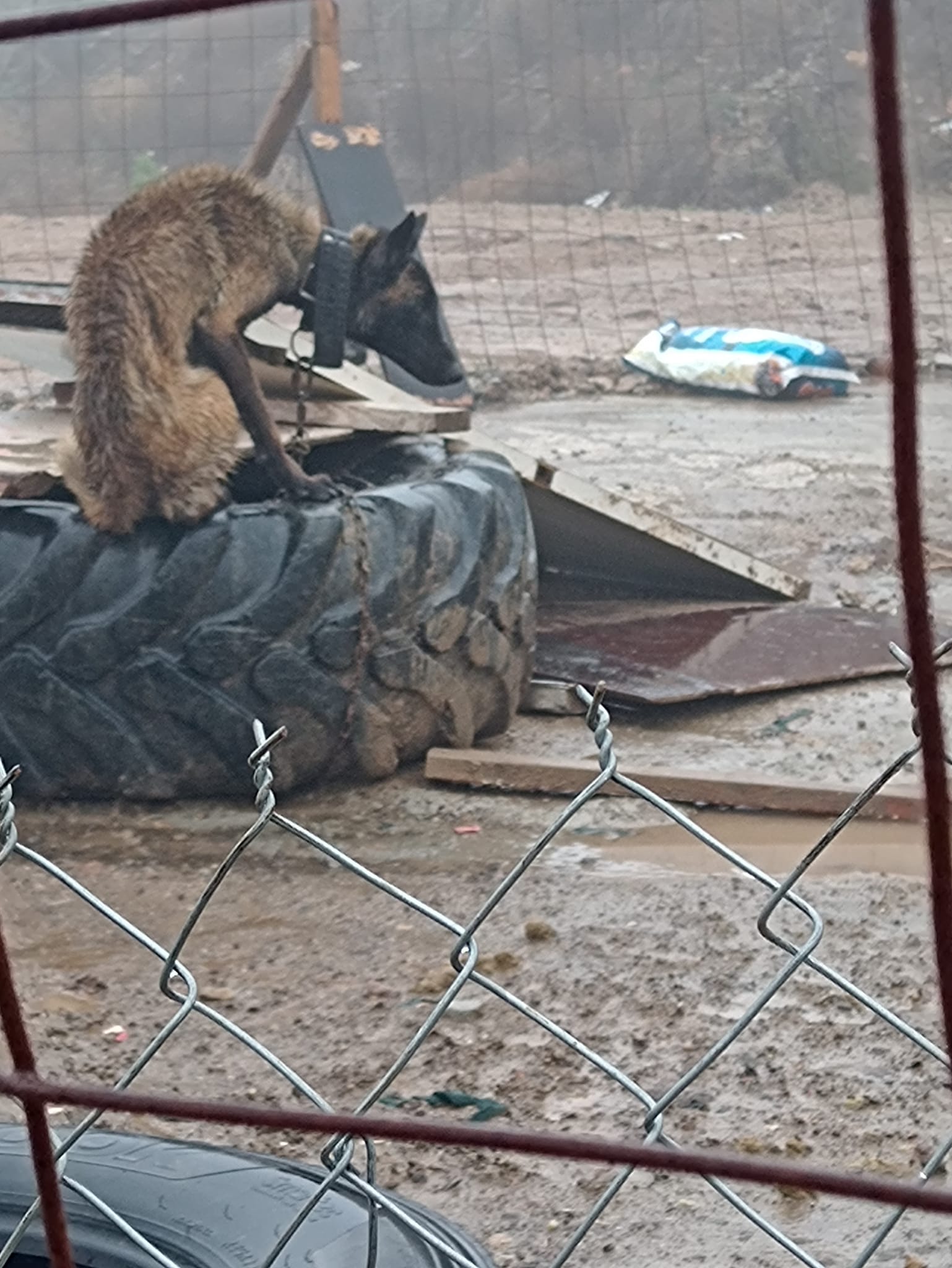 Facebook Rey David Parra