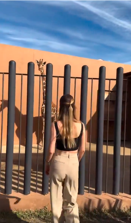 Captura de Pantalla TikTok