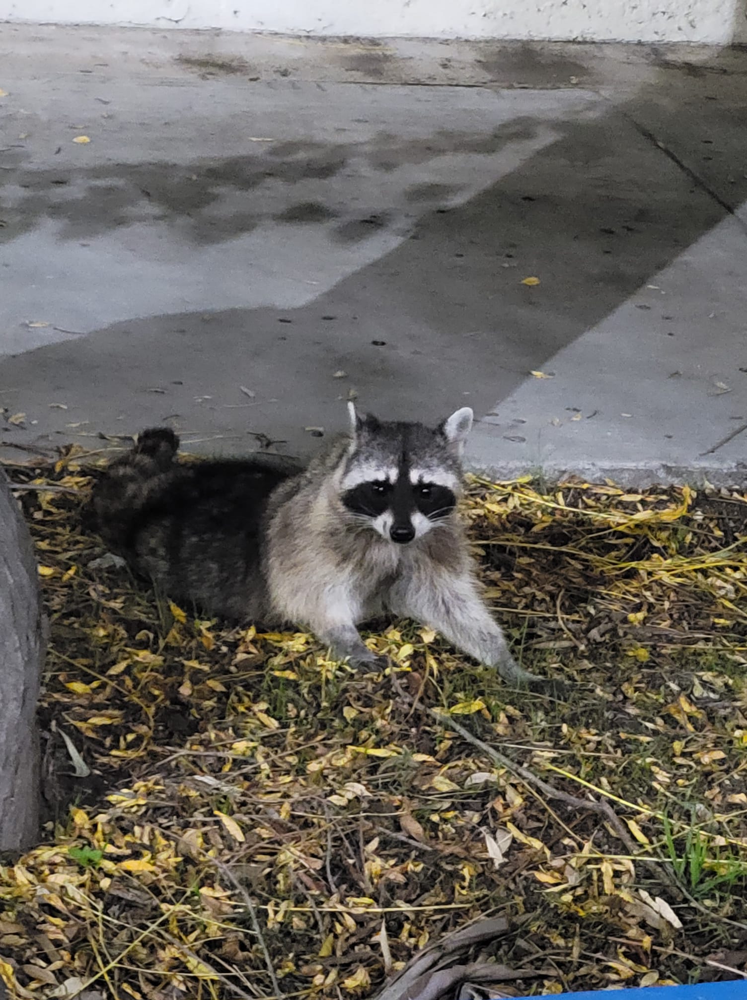 Facebook Ekatherine Acosta Lopez