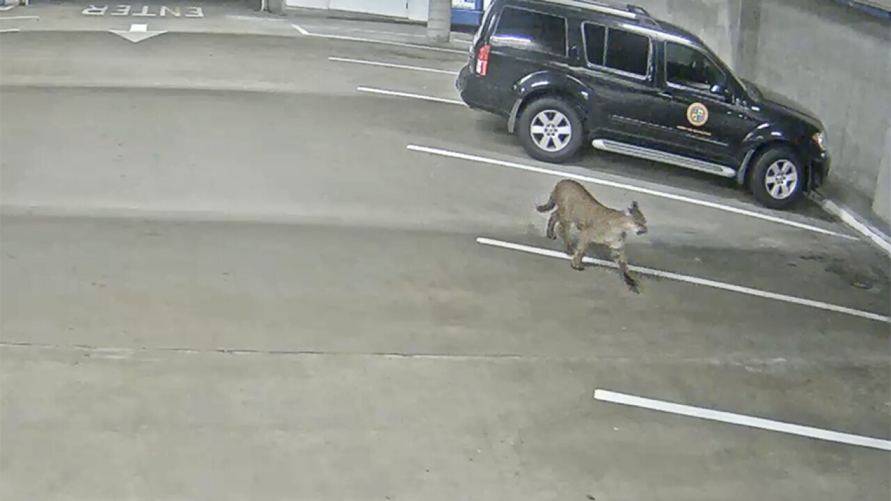 Oceanside Police Department