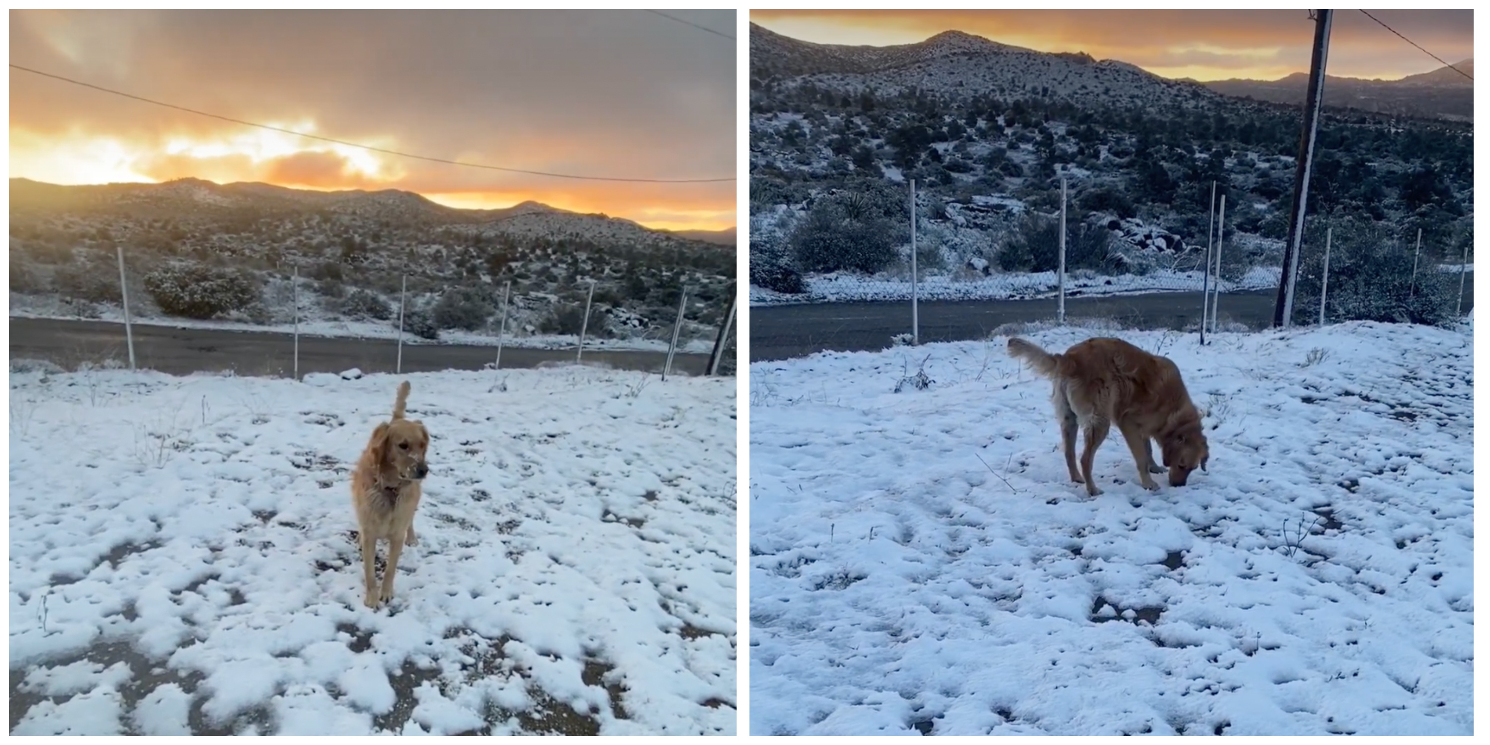 Fotografía por: Isabel Flores (Facebook)