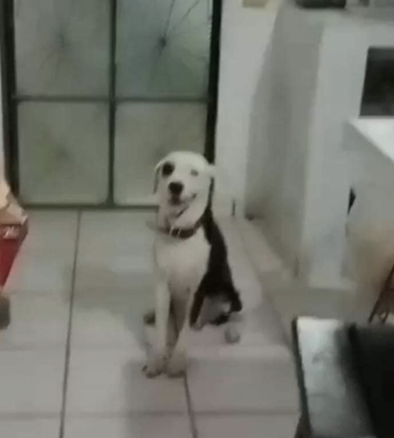 Fotografía: Facebook