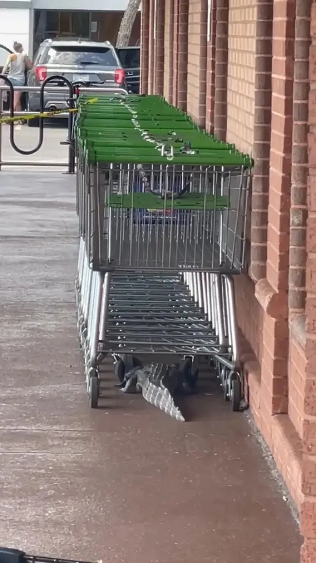 South Carolina Department of Natural Resources