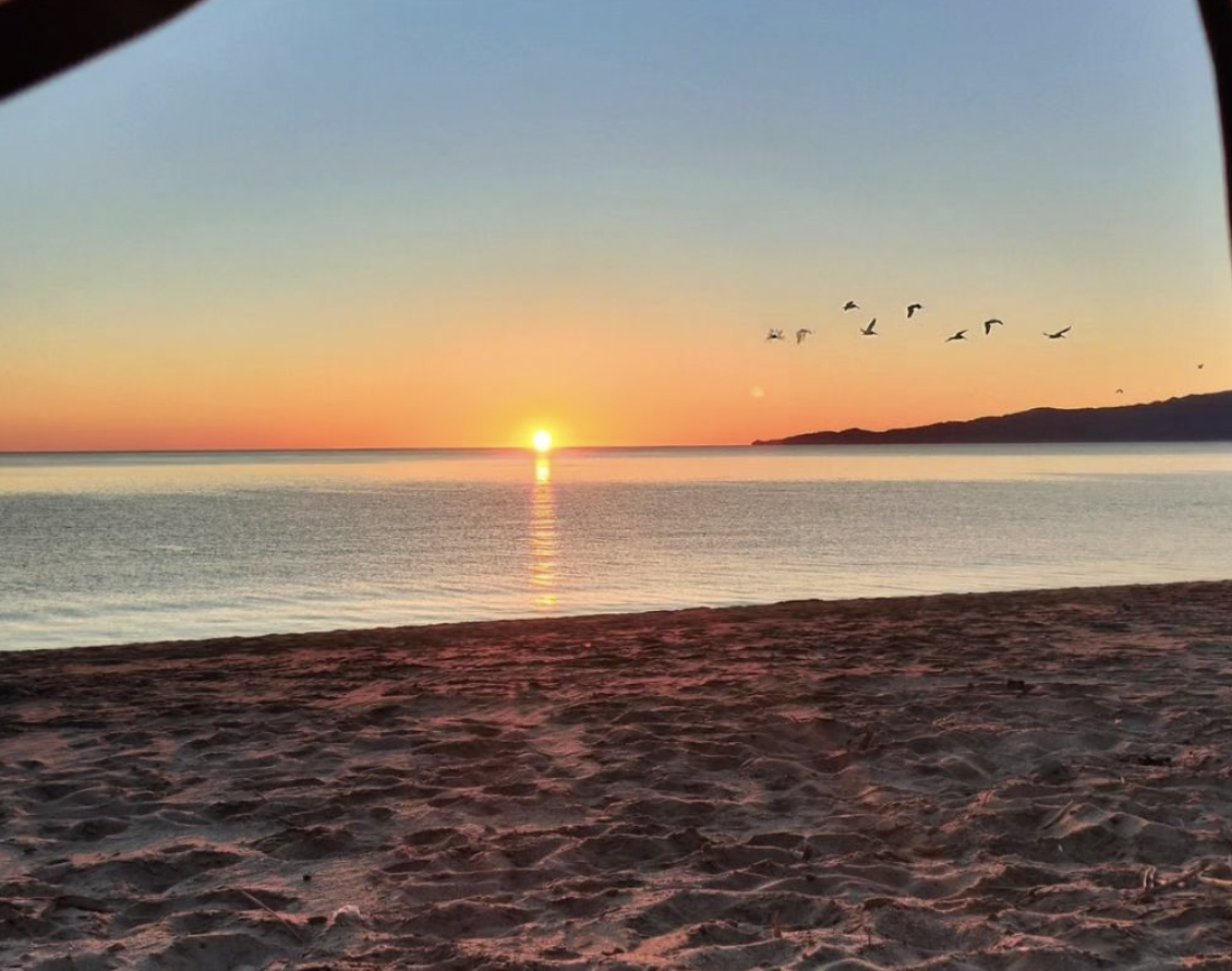 Fotografía por: Lizbeth Catalán (Instagram)