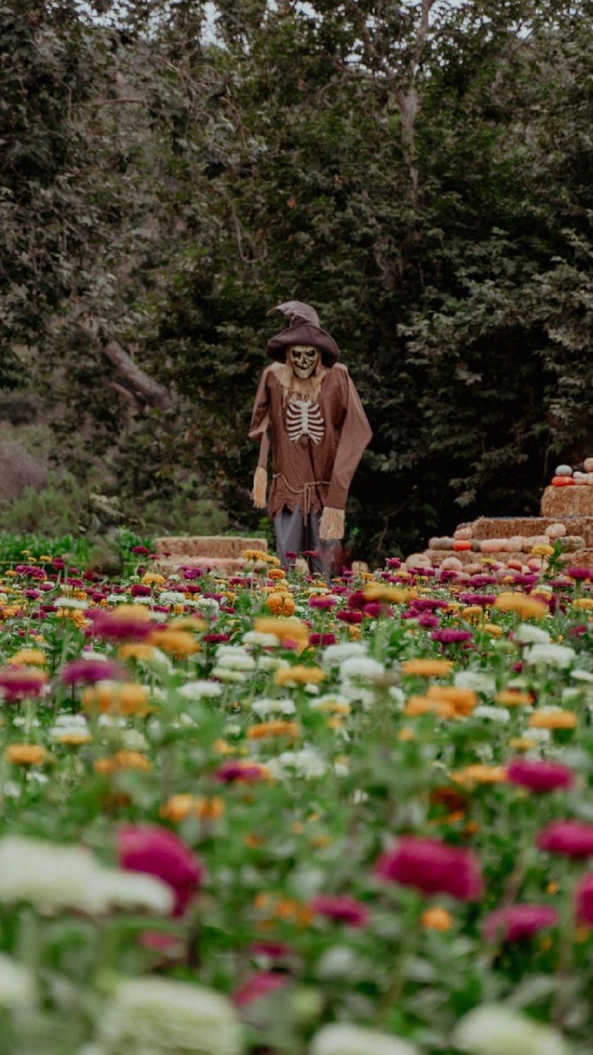 La Ruta del Maíz Facebook