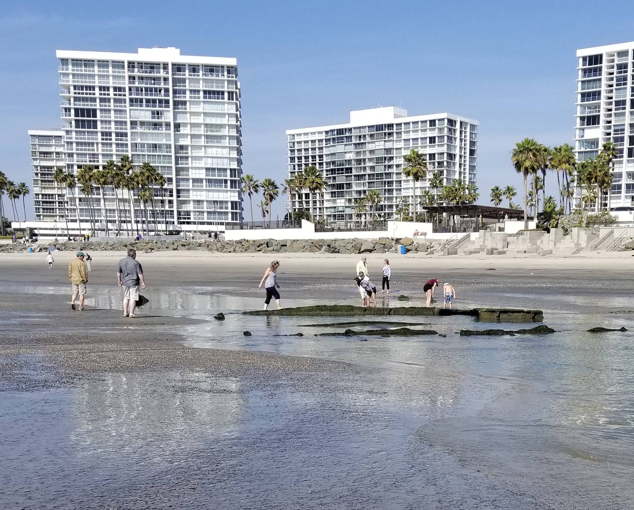 SS Monte Carlo Shipwreck Facebook